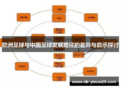 欧洲足球与中国足球发展路径的差异与启示探讨