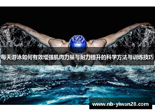 每天游泳如何有效增强肌肉力量与耐力提升的科学方法与训练技巧