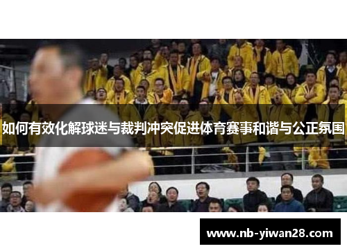 如何有效化解球迷与裁判冲突促进体育赛事和谐与公正氛围