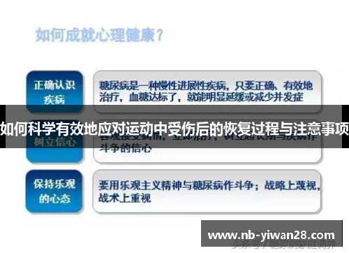 如何科学有效地应对运动中受伤后的恢复过程与注意事项