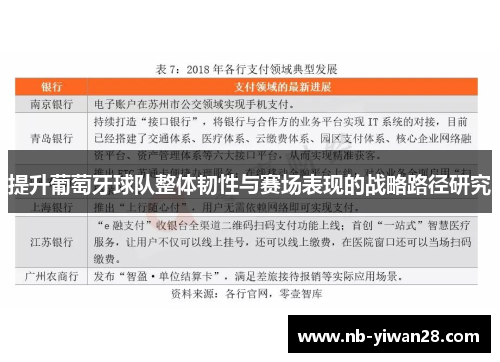 提升葡萄牙球队整体韧性与赛场表现的战略路径研究