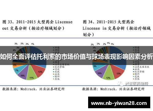如何全面评估托利索的市场价值与球场表现影响因素分析