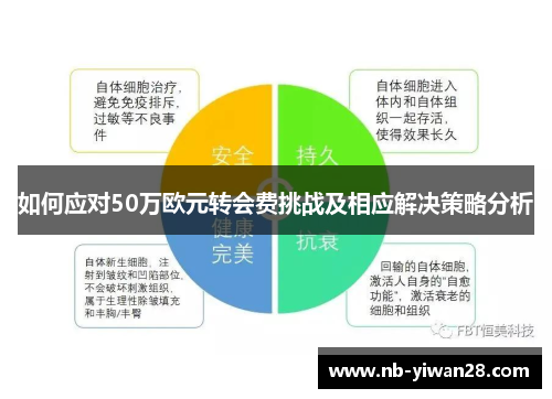 如何应对50万欧元转会费挑战及相应解决策略分析